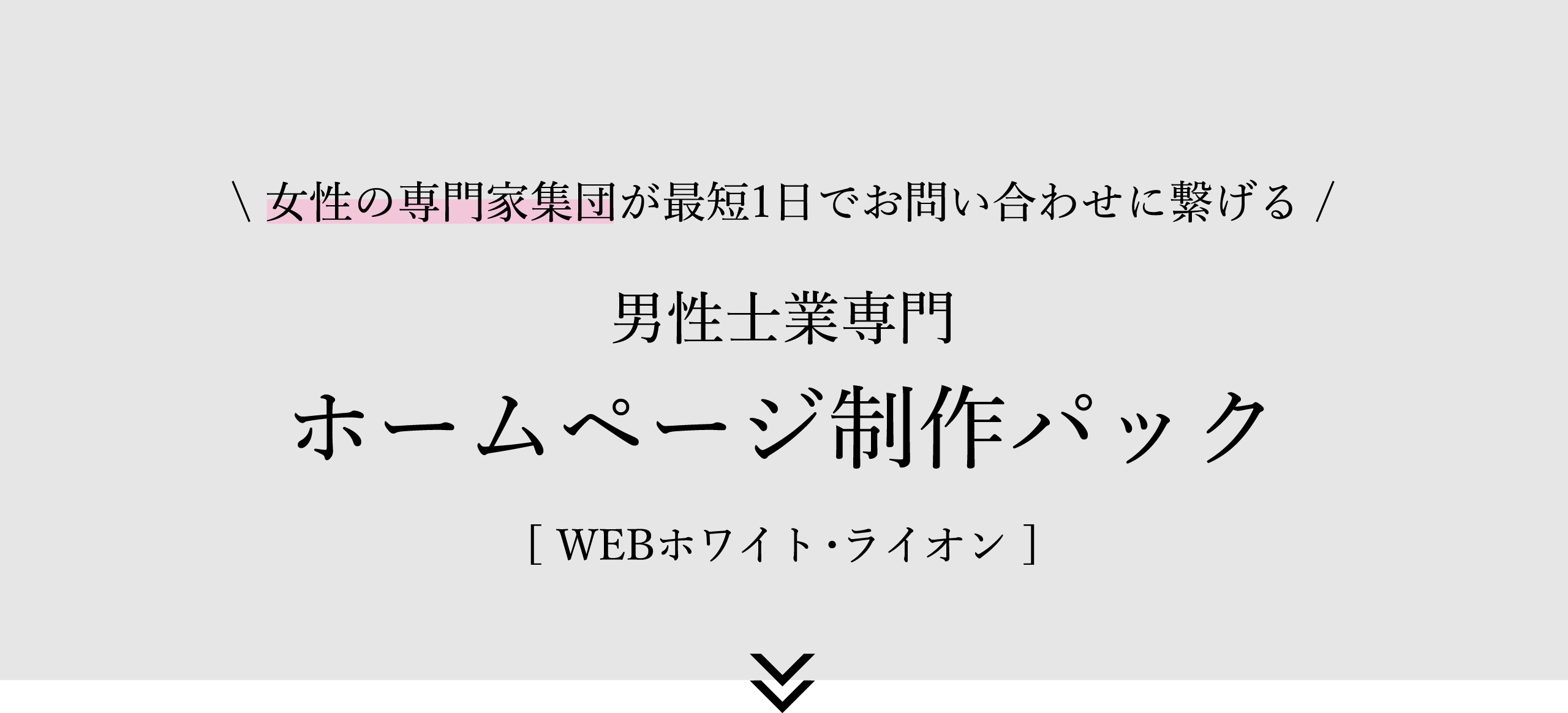 男性士業専門ホームページ制作パック